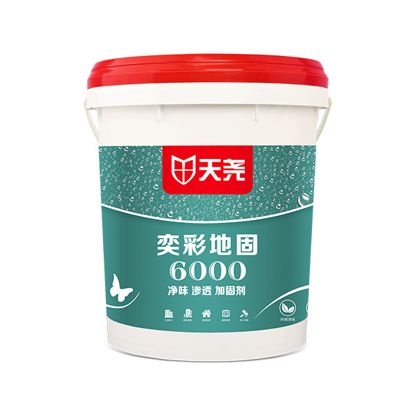 奕彩地固6000（滲透型）