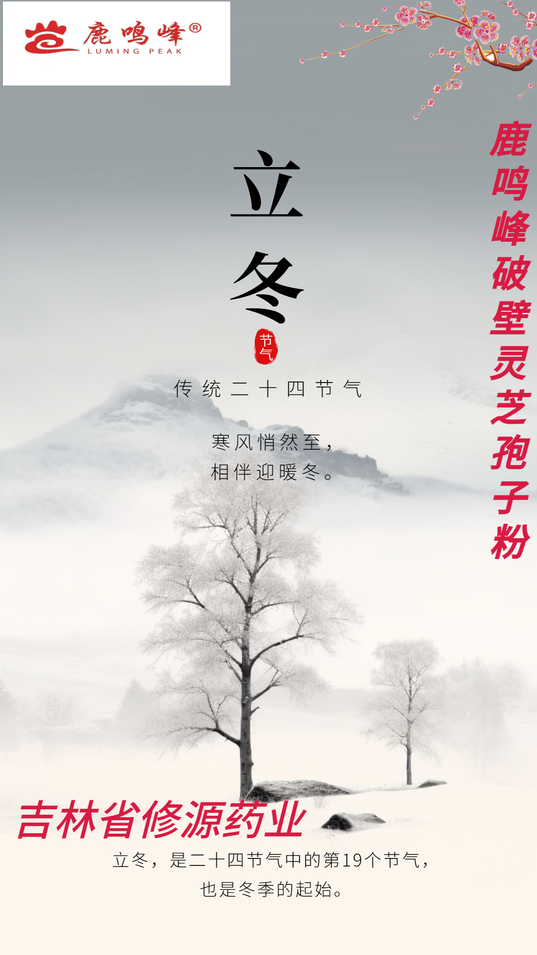 靈芝孢子粉：靈芝一生的精華