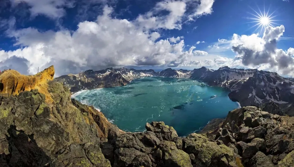 怎么選擇破壁靈芝孢子粉才能不踩坑