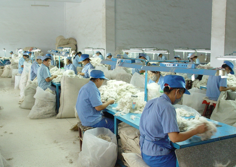 雙翼齊飛:羊絨企業(yè)借互聯(lián)網(wǎng)突破發(fā)展壁壘