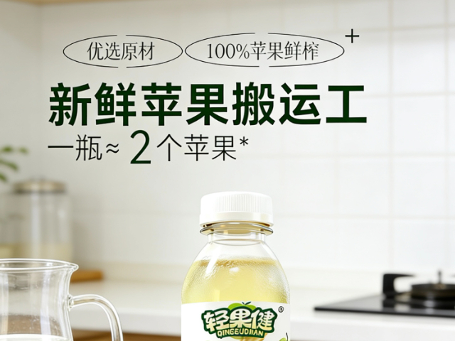 广东餐饮适配天健苹果汁礼盒批发