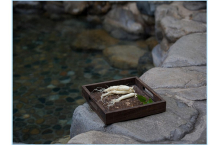 成都私家温泉设备全套供应,温泉设备