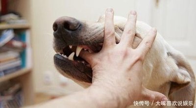 男生用嘴幫女友吸傷口，確診三級暴露！