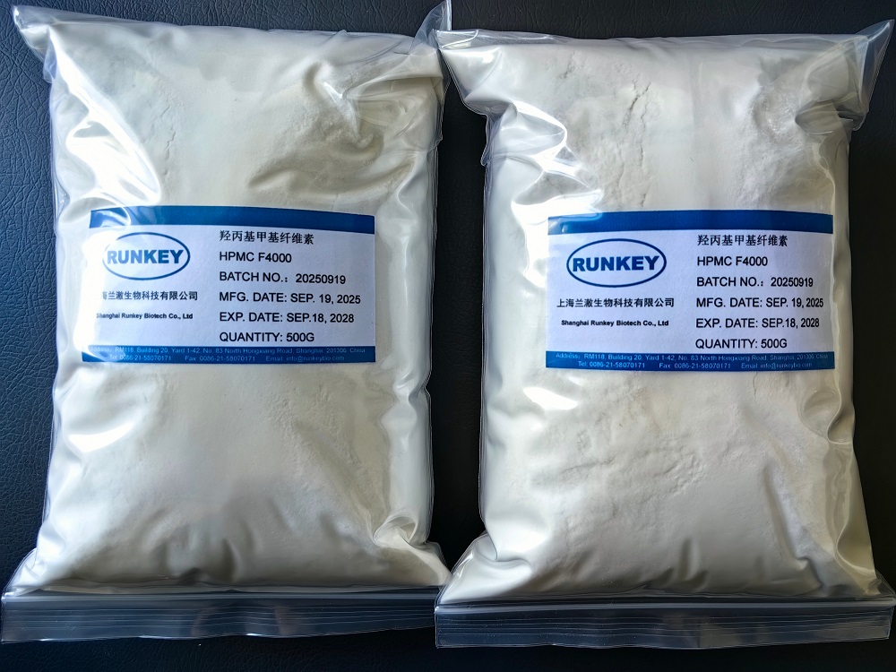 Shanghai High Purity HPMC: 2026 Top 6 Trusted Export Firms