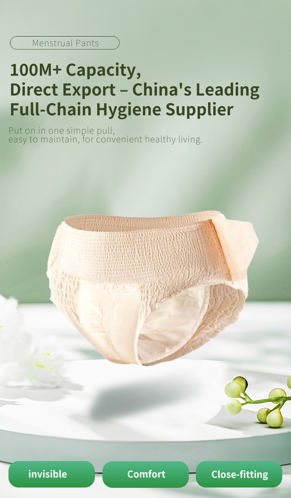 Disposable Sanitary Menstrual Pants for Women - ZHONGXIN