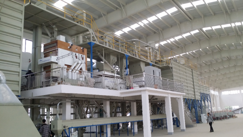 安徽小麥種子加工哪個好 誠信為本 南京凱鉑睿農(nóng)業(yè)科技供應(yīng)