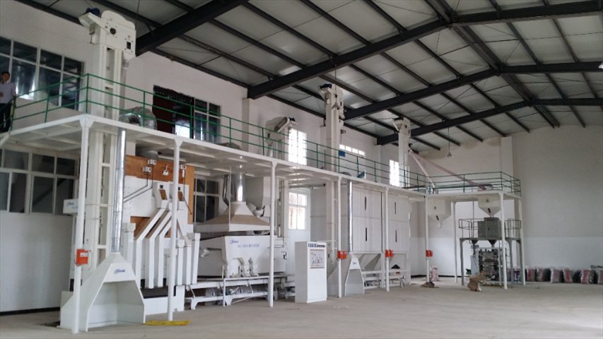 福建10吨/小时种子加工哪里有,种子加工