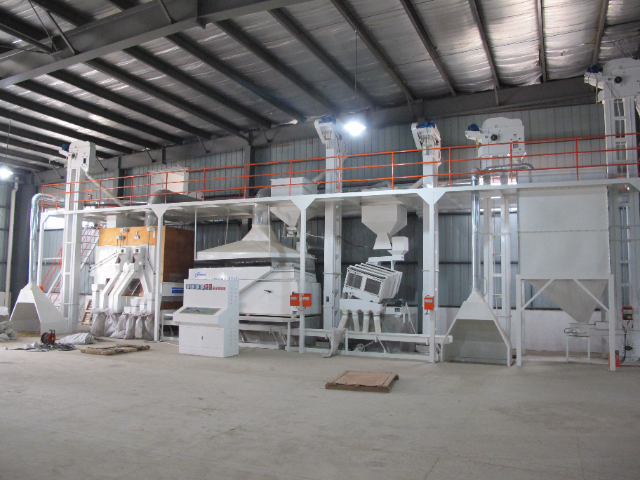 安徽蔬菜種子加工 誠信為本 南京凱鉑睿農(nóng)業(yè)科技供應(yīng)