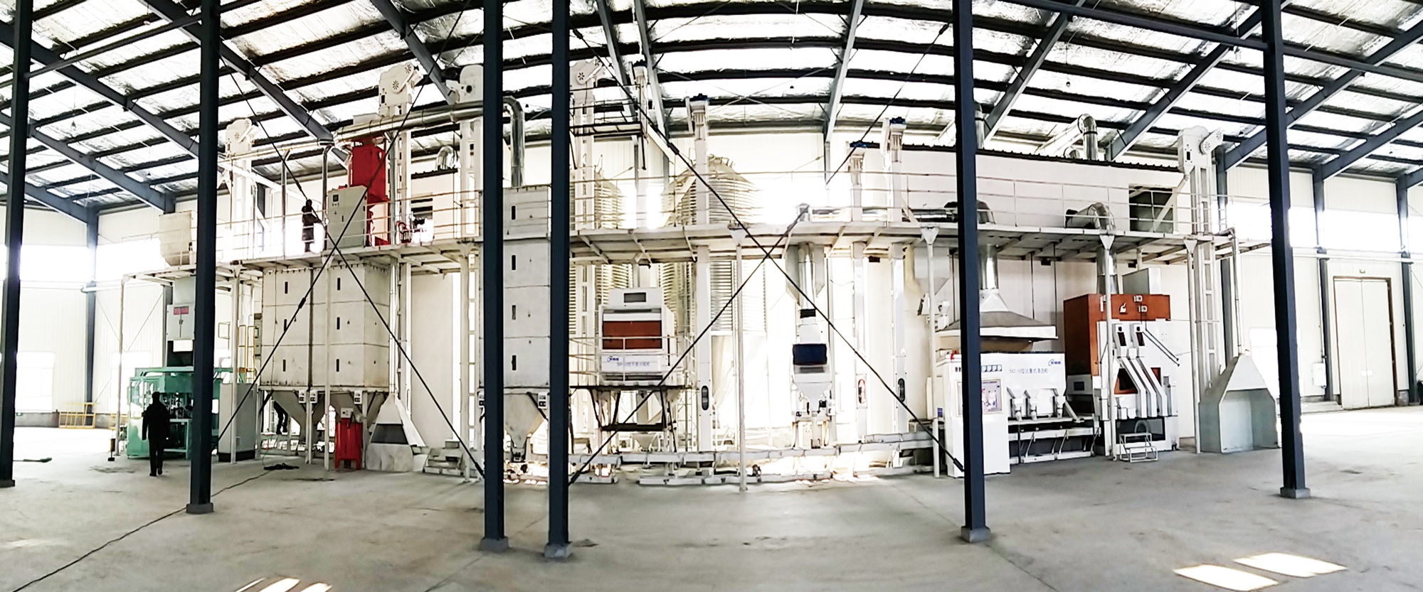 玉米種子加工線