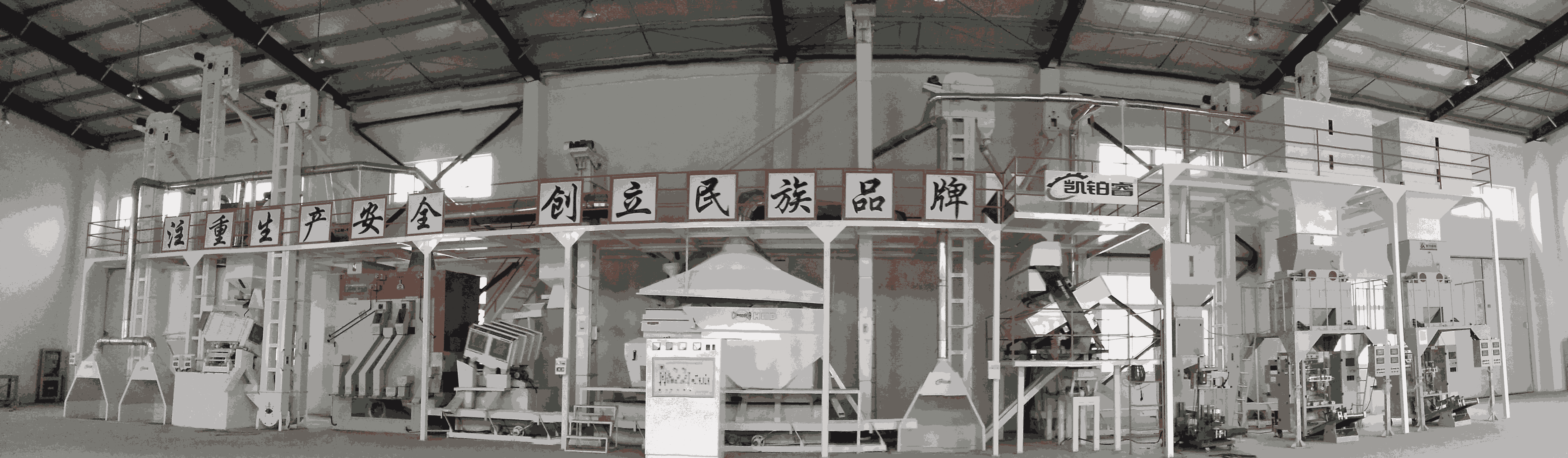 玉米種子加工線