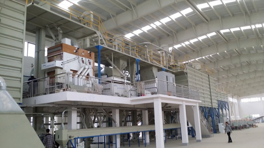 河北刷毛機(jī)種子機(jī)械定制