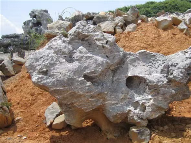 惠州景观石怎么样 欢迎咨询 中山市永明粤石材科技供应