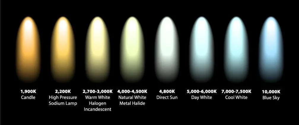 Understanding LED Color Temperature and CRI for Optimal Lighting
