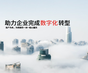 企業(yè)數(shù)字化轉(zhuǎn)型