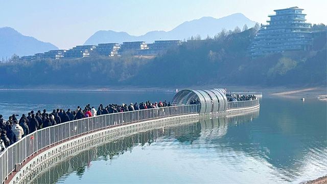 江西浮台码头设计规划,浮台码头