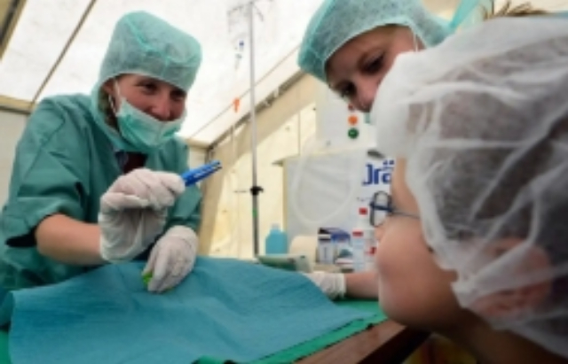 第三方法醫(yī)臨床鑒定系統(tǒng) 安徽金瑞司法鑒定供應(yīng);