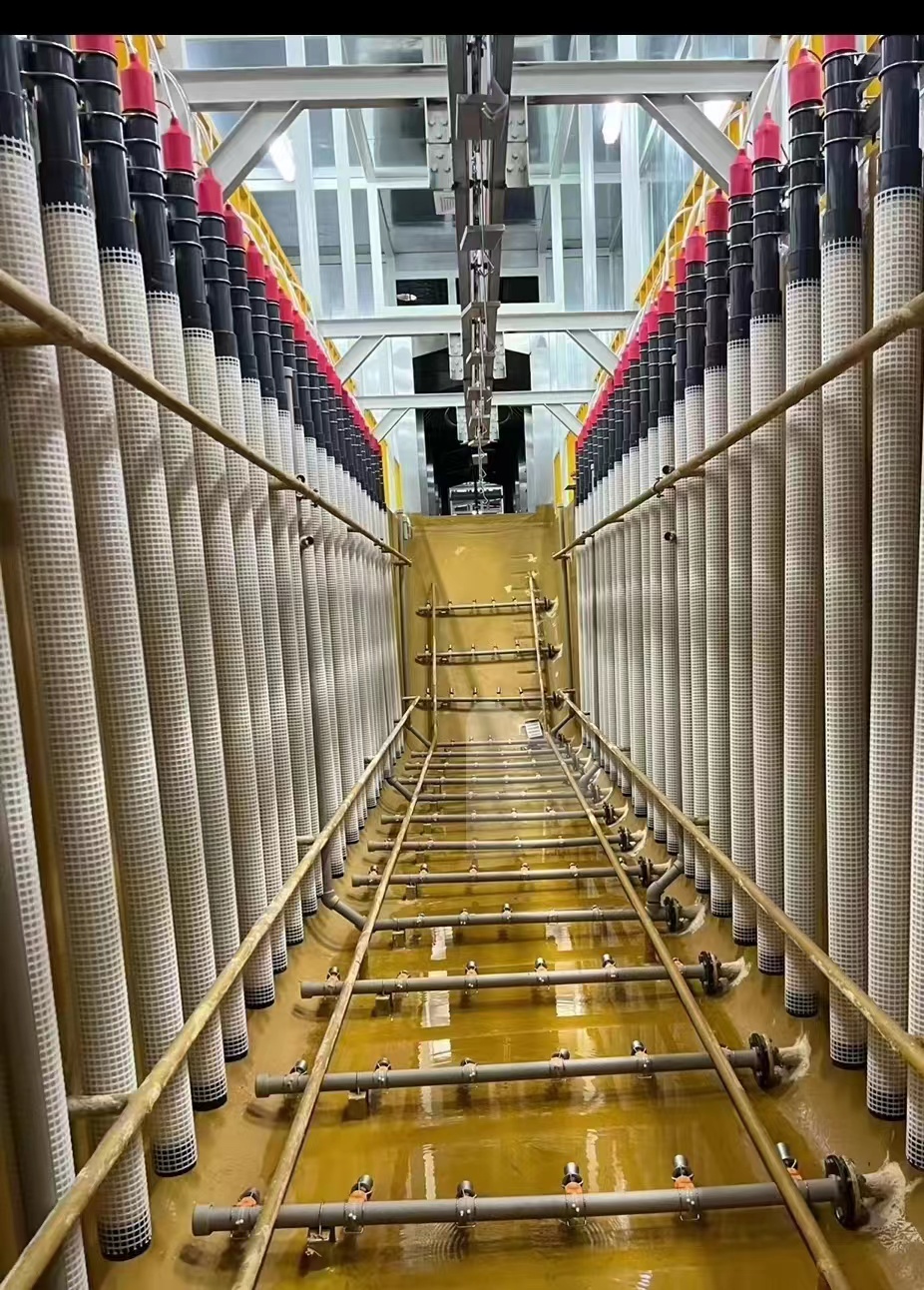 電泳線