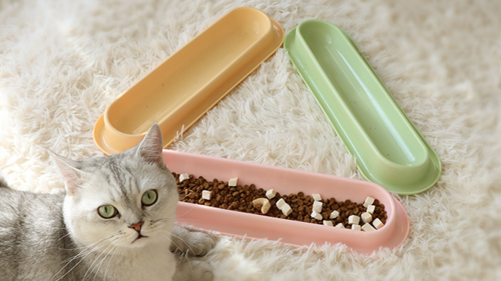 福建新款宠物食具批发厂家,宠物食具