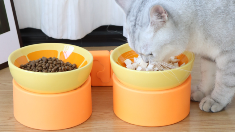 上海多猫宠物食具商家,宠物食具