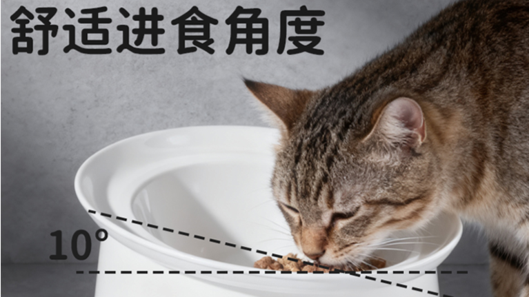 安徽防打翻宠物食具加工