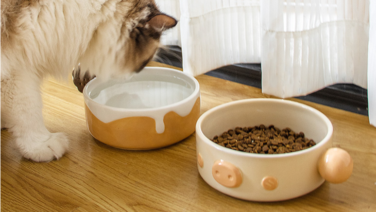 防打翻宠物食具产品介绍
