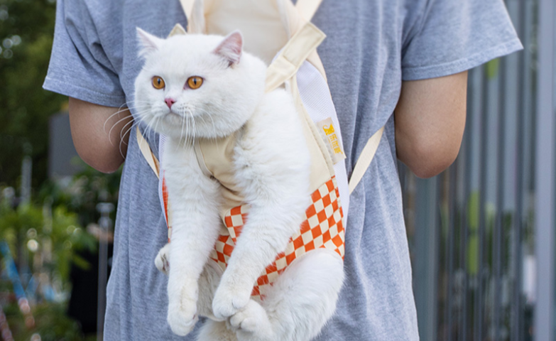 中国台湾单肩猫包批发厂家