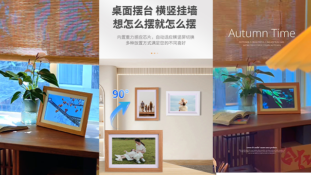 数码相框内存 江苏易立电气股份供应