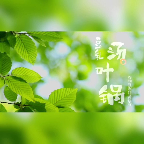 豆乳湯葉鍋