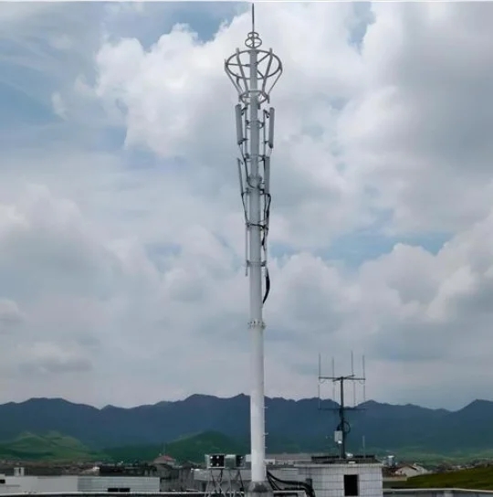 A1ce2a7433a4bd3353c46cab70213908