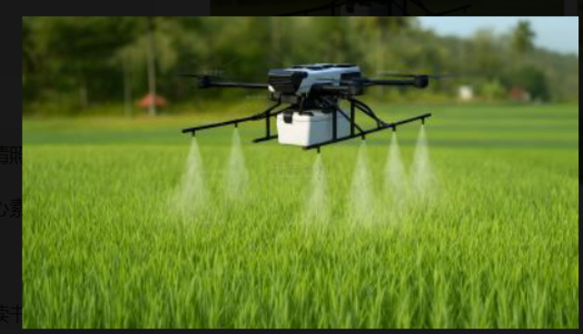 國(guó)際低空經(jīng)濟(jì)服務(wù)費(fèi) 和諧共贏 蘇州逸飛智航建筑科技供應(yīng);