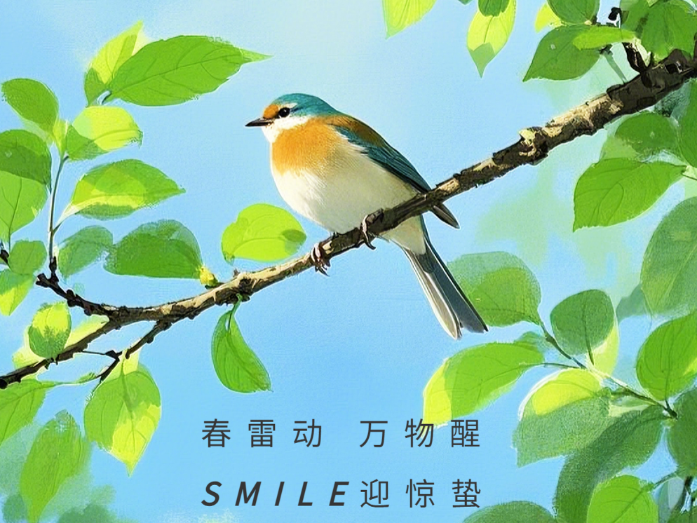 SMILE斯迈尔 SMILE斯迈尔