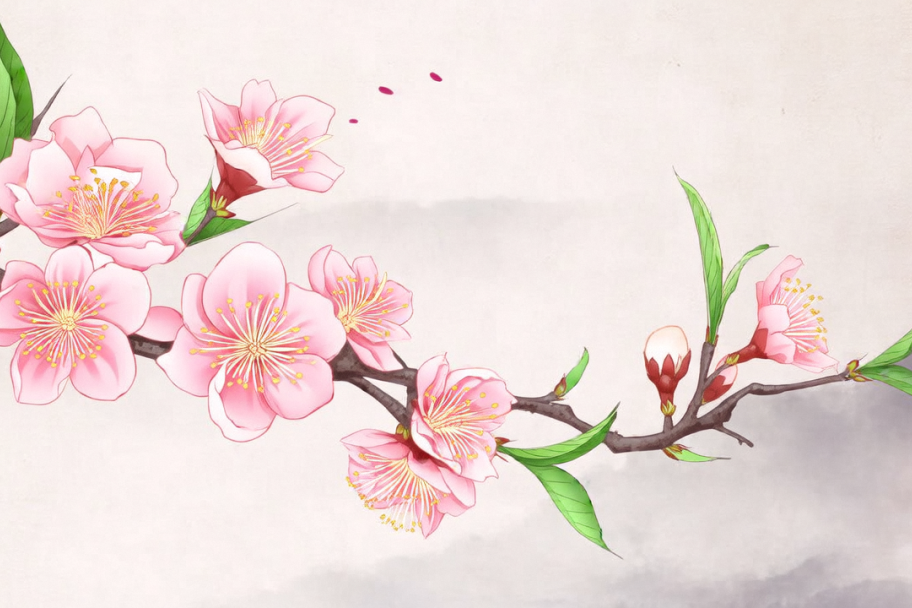 SMILE斯迈尔 SMILE斯迈尔