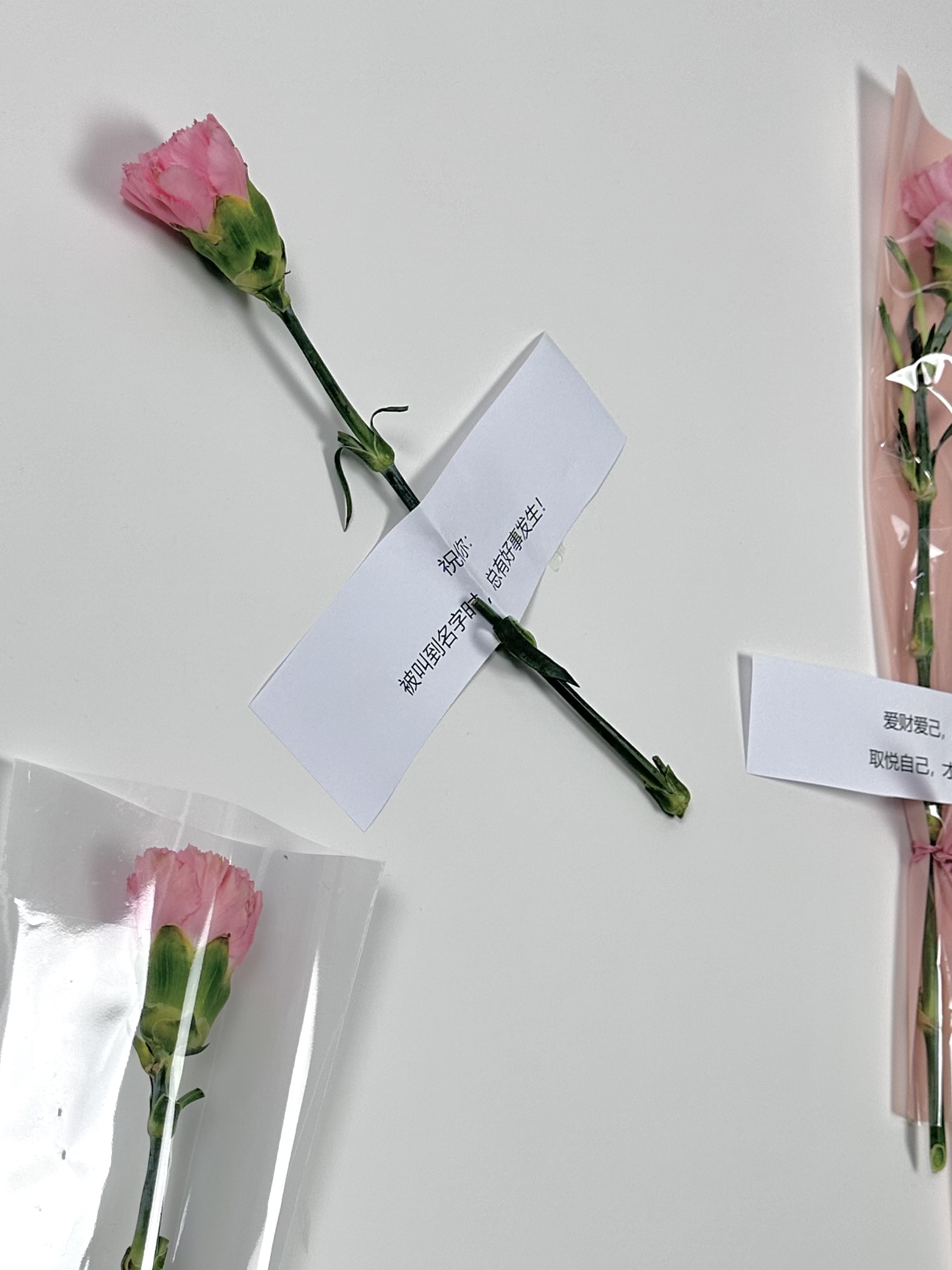 SMILE斯迈尔 SMILE斯迈尔