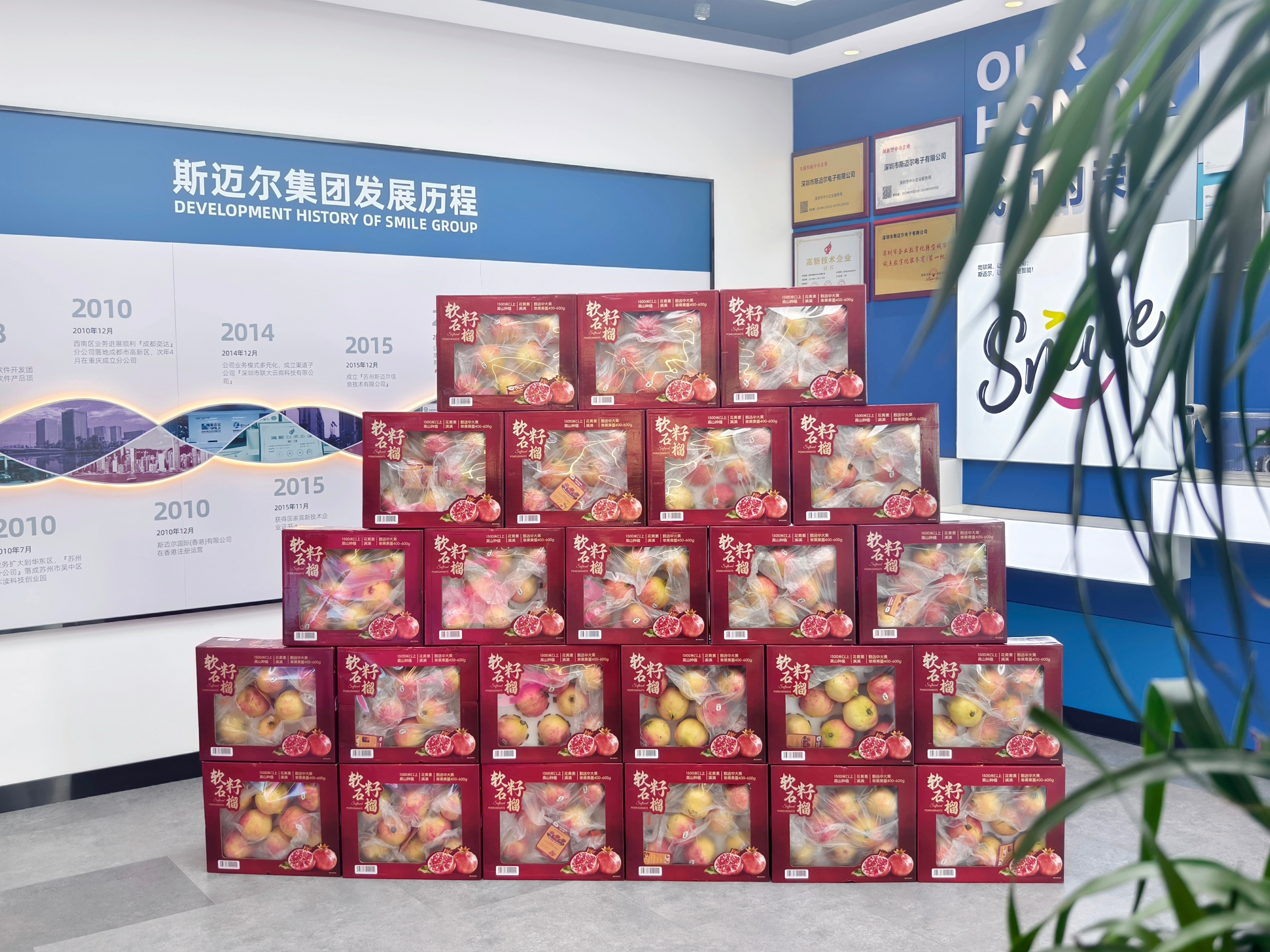 SMILE斯邁爾