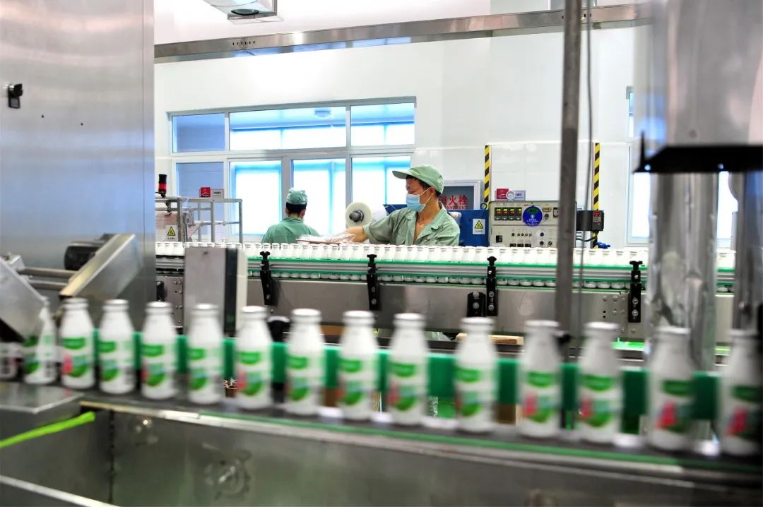 SMILE斯迈尔 SMILE斯迈尔