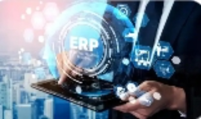 嘉定区微型软件开发服务商