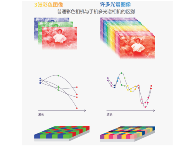 廣州便攜式手機(jī)多光譜相機(jī)代理商 廣州星博譜光技術(shù)供應(yīng)