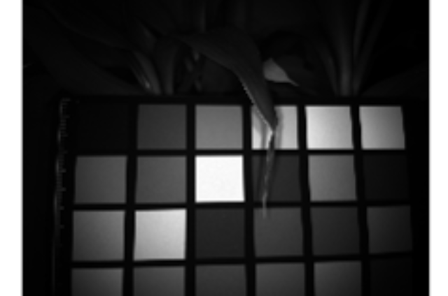 廣州輕量化手機多光譜相機哪家好 廣州星博譜光技術供應