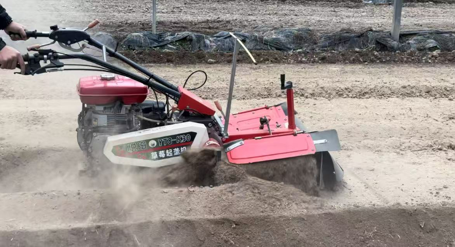 邢臺草莓起壟機整機 服務至上 無錫悅田農業機械科技供應