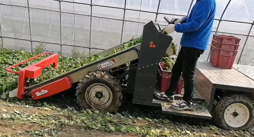 河南悅田葉菜收獲機(jī) 值得信賴 無(wú)錫悅田農(nóng)業(yè)機(jī)械科技供應(yīng)