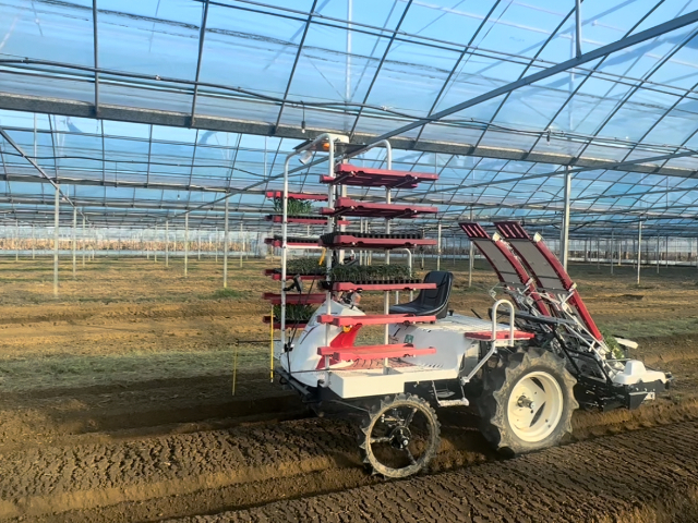 沁水全自動蔬菜移栽機苗盤 悅田科技 無錫悅田農(nóng)業(yè)機械科技供應(yīng)