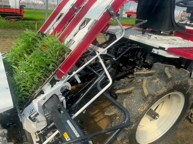 阜新高效全自動(dòng)蔬菜移栽機(jī) 歡迎咨詢 無錫悅田農(nóng)業(yè)機(jī)械科技供應(yīng);