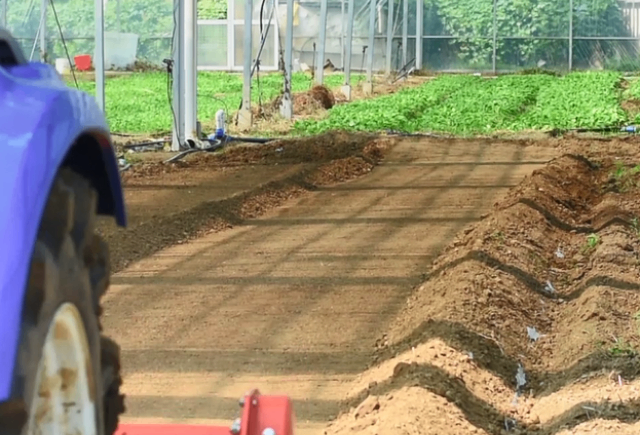 盤錦高密度蔬菜滅茬機(jī),蔬菜滅茬機(jī)