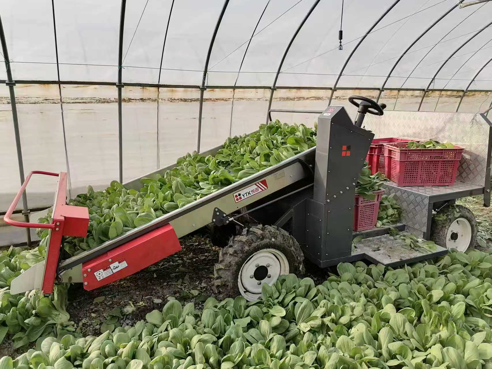 蔬菜全程機械化重點團隊：無錫悅田參與全程無人化作業試驗工程路線圖編制