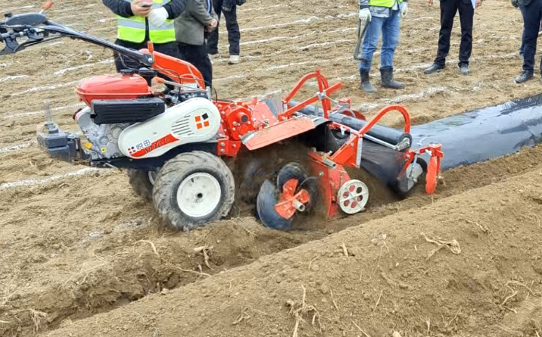 江苏好用蔬菜机械质量好,蔬菜机械