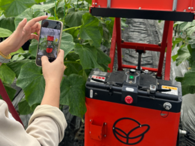 全国陆地果蔬机械哪家好,果蔬机械