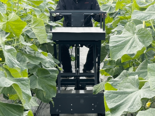 無(wú)錫鋰電輪式搬運(yùn)車(chē)哪家好 一鍵查看 無(wú)錫悅田農(nóng)業(yè)機(jī)械科技供應(yīng)