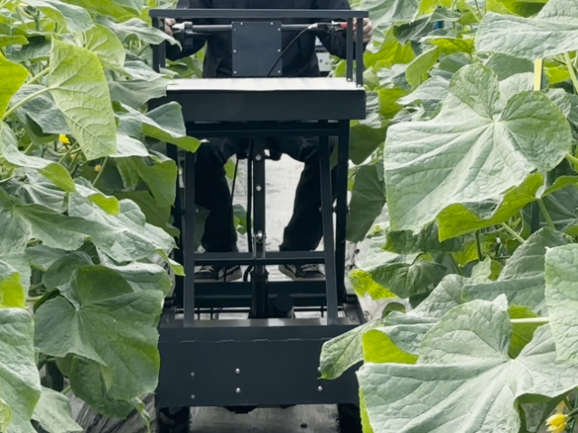 大陆操作简单的轮式搬运车图片