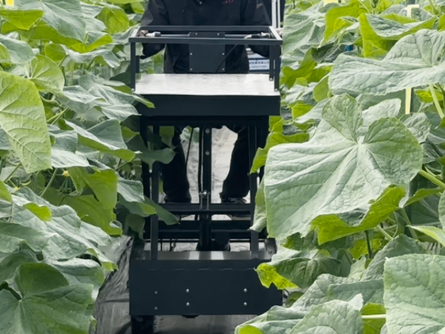 江苏智能轮式搬运车价格,轮式搬运车