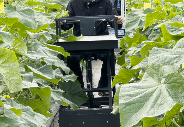 无锡果园轮式搬运车质量好